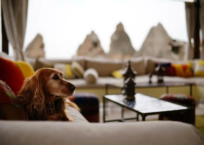 Artemis Cave & Spa- Adults Only Hotel Goreme